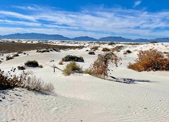 new-mexico/white-sands-national-park/attraction/dune-life-nature-trailhead