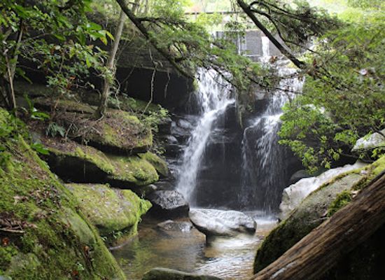 alabama/desoto-state-park/attraction/dismals-canyon