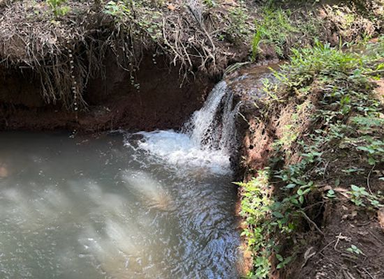 tanzania/moshi/attraction/milk-spring-water