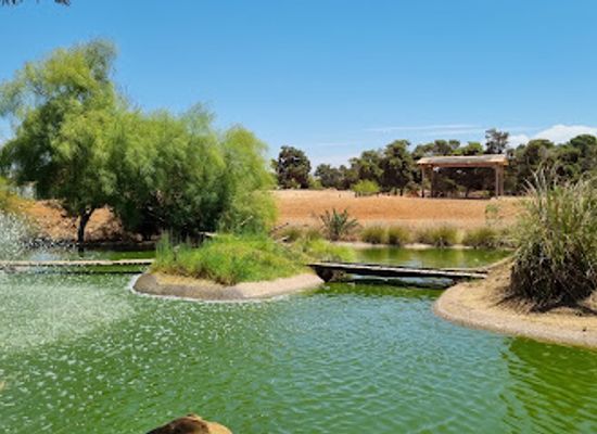morocco/sais/attraction/national-zoo-rabat-morocco