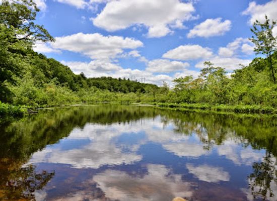 rhode-island/kent-county/attraction/audubon-davis-memorial-wildlife-refuge