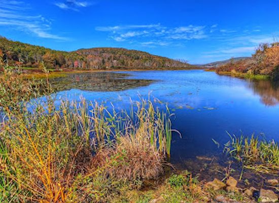 new-york/catskill-mountains/attraction/franklinton-vlaie-wildlife-management-area