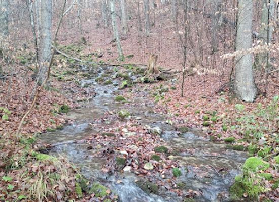 slovakia/muranska-planina-national-park/attraction/jaskyna-bobacka
