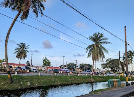 guyana/essequibo-islands-west-demerara/attraction/lamaha-corridor