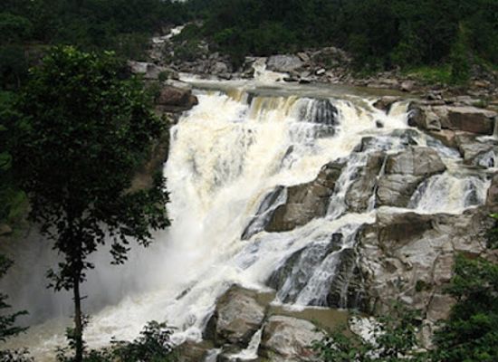india/jharkhand/attraction/betla-national-park