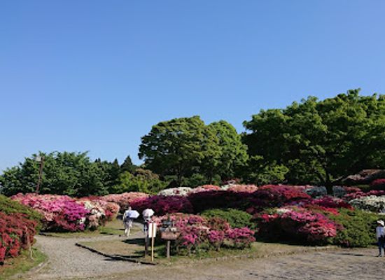 japan/chikuzen/attraction/kurume-forest-tsutsuji-park