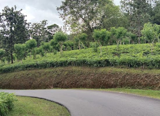 sri-lanka/ratnapura/attraction/samanala-mountain-view-point