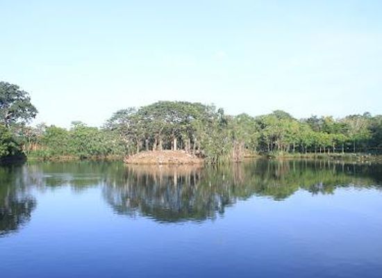 ghana/koforidua/attraction/legon-botanical-gardens-ghana