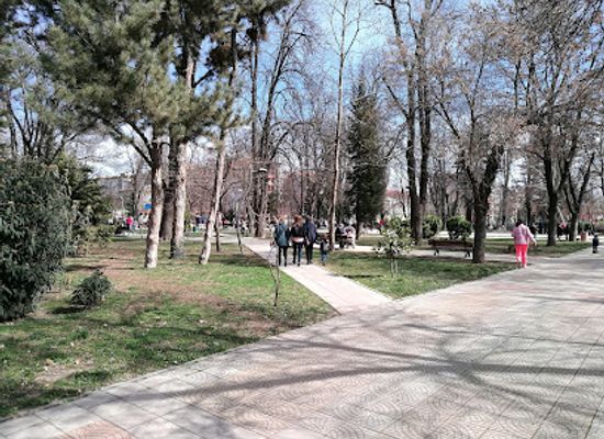 bulgaria/plovdiv-region/attraction/white-birches