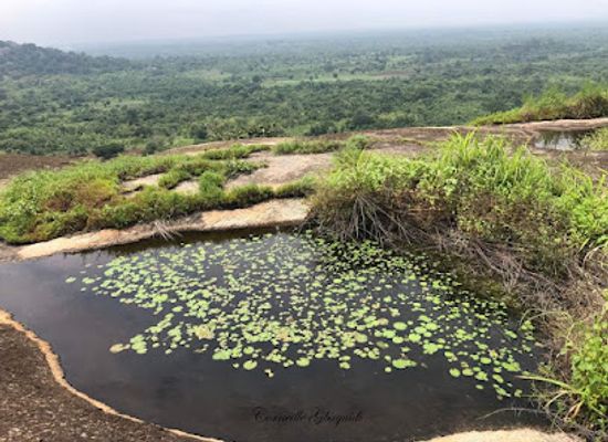 benin/plateau/attraction/benin-en-image