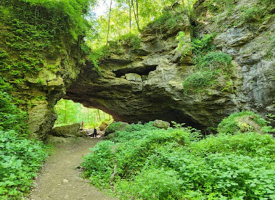 iowa/great-river-road/attraction/maquoketa-caves-state-park
