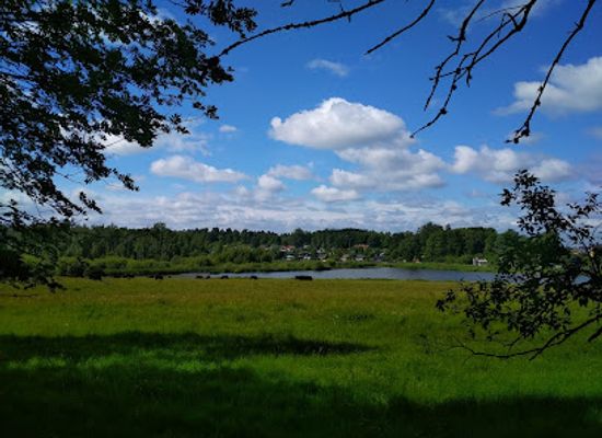sweden/orebro/attraction/markaskogen