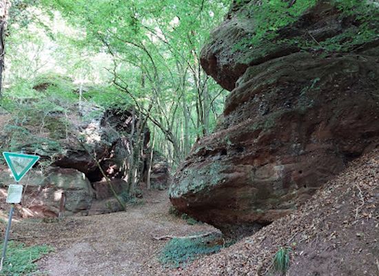 germany/eifel-national-park/attraction/teufelstritt