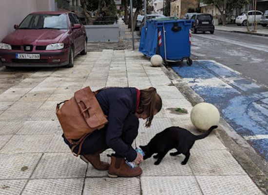 greece/chania/nea-chora/attraction/naomi-the-cat