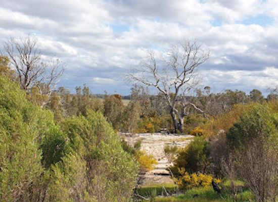 australia/mallee/attraction/lake-albacutya-park
