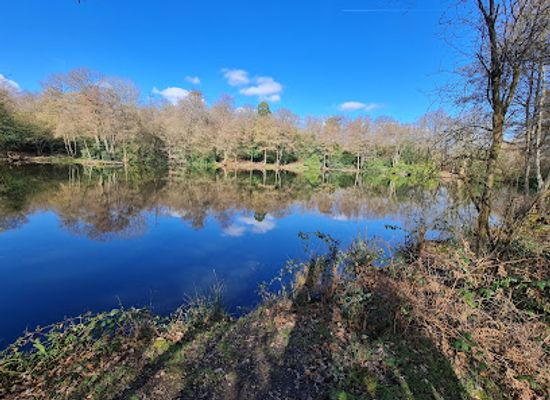 united-kingdom/middlesex/attraction/stanmore-country-park-london