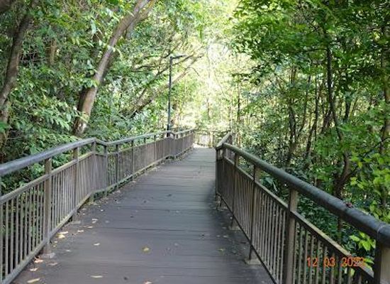 singapore/jurong/attraction/kent-ridge-park