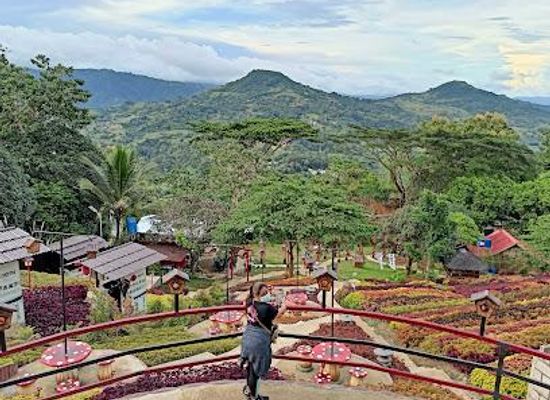 philippines/cebu-city/attraction/sachiko-s-little-kyoto