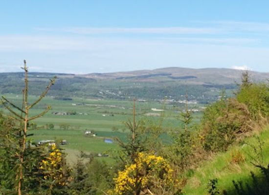 united-kingdom/stirling/attraction/garshellach-forest