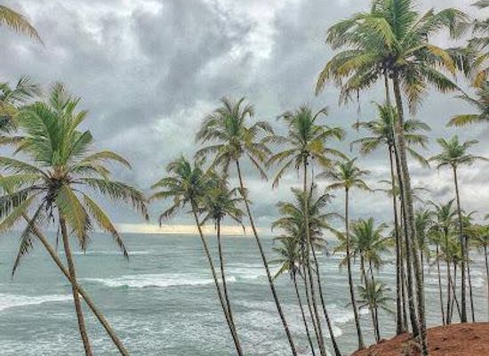 sri-lanka/galle/attraction/mirissa-beach