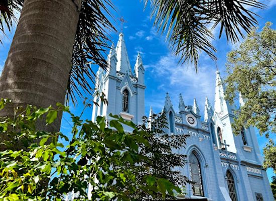 paraguay/gran-chaco/attraction/cathedral-of-san-lorenzo-city