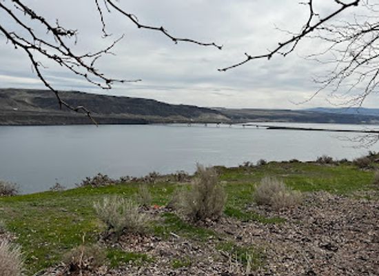 washington/eastern-washington/attraction/ginkgo-petrified-forest-state-park