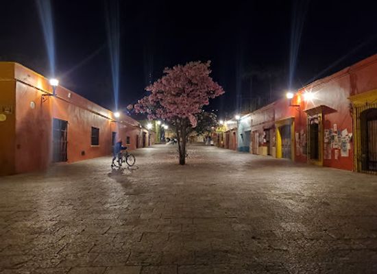 mexico/oaxaca/centro-historico/attraction/jardin-conzatti