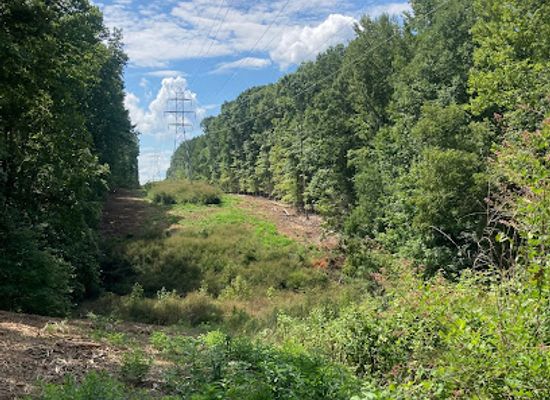 north-carolina/durham-area/attraction/pump-station-trail