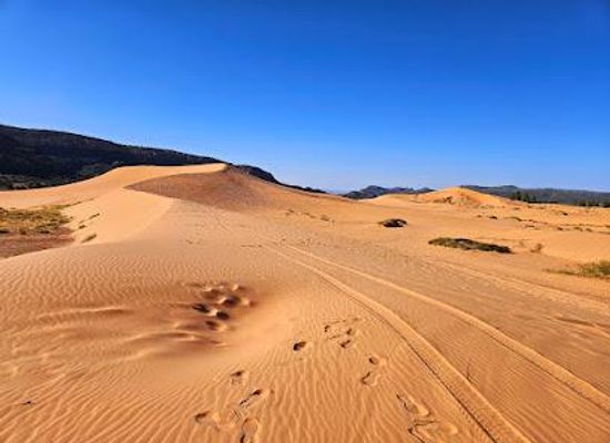 utah/kanab/attraction/coral-pink-sand-dunes-state-park
