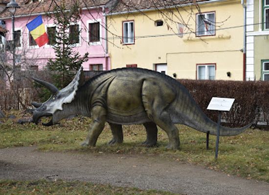 romania/sibiu/attraction/natural-history-museum