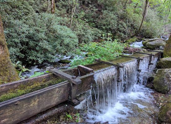 tennessee/great-smoky-mountains-national-park/attraction/alfred-reagan-tub-mill