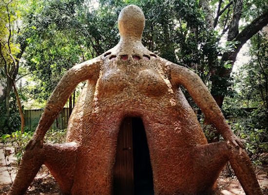 brazil/atlantic-forest/attraction/bosque-dos-namorados-do-parque-das-dunas