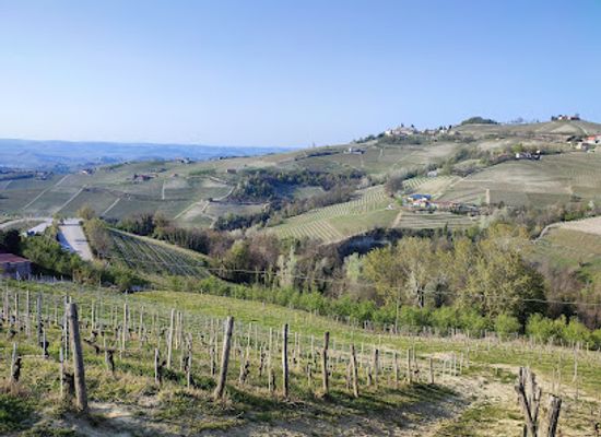 italy/langhe/attraction/panchina-gigante-rosso-rubino-dolcetto-di-diano-d-alba-big-bench-n-65