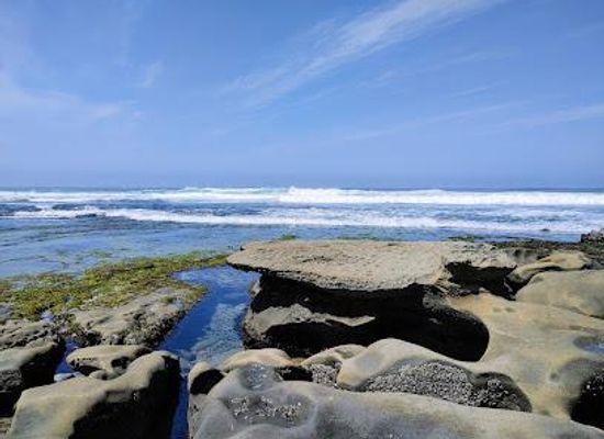california/san-diego-beaches/attraction/la-jolla-tide-pools