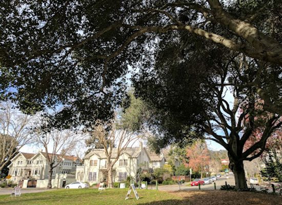 california/berkeley/attraction/monkey-island