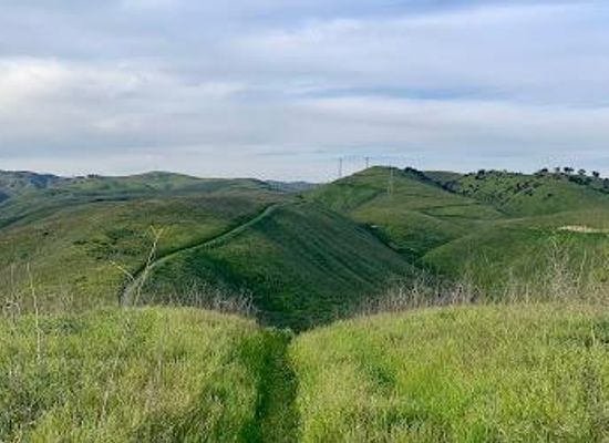 california/ventura-county/attraction/cheeseboro-canyon-trail