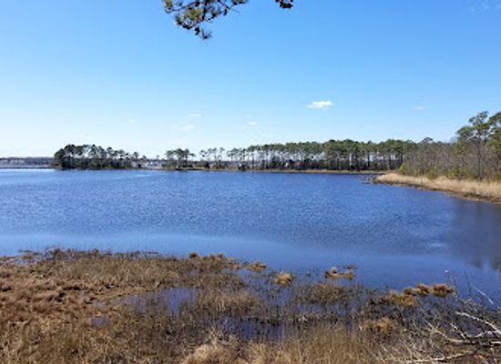 delaware/delaware-seashore-state-park/attraction/assawoman-wildlife-area
