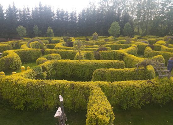 latvia/livonia/attraction/beverinas-labirinti-koka-skulpturu-parks