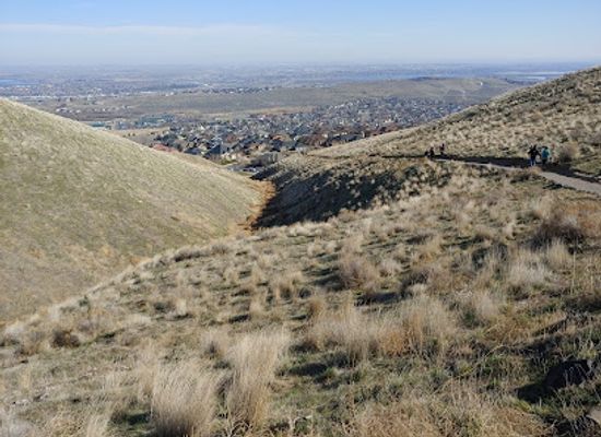 washington/the-blue-mountains/attraction/badger-mountain
