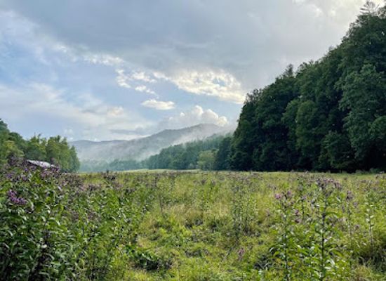 north-carolina/great-smoky-mountains/attraction/cataloochee-valley