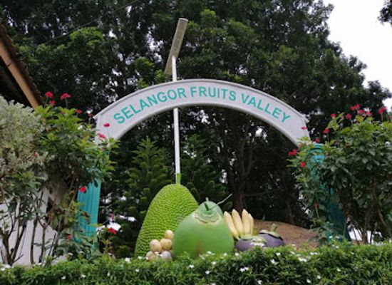 malaysia/selangor/attraction/selangor-fruit-valley-sfv