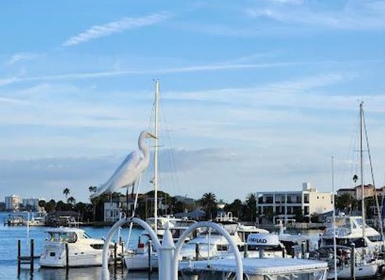 florida/tampa-bay-area/attraction/clearwater-beach-municipal-marina