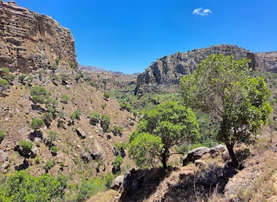 madagascar/ihorombe/attraction/isalo-national-park