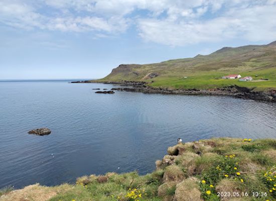 iceland/east-fjords/attraction/borgarfjaroarhofn