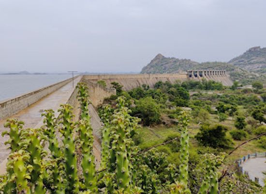 india/west-india/attraction/jawai-bandh