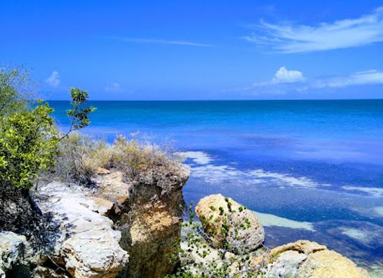 puerto-rico/mayaguez-region/attraction/bosque-estatal-de-boqueron