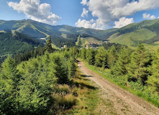 slovakia/nizke-tatry-national-park/attraction/rozhladna-ostredok-bencurova-veza