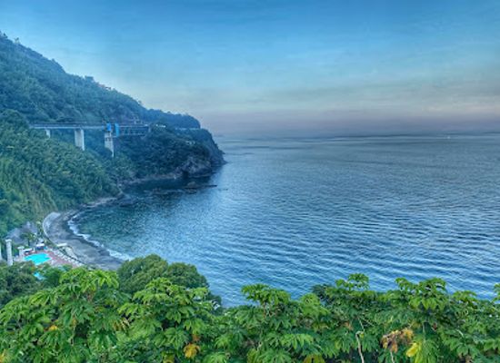 japan/izu/attraction/acao-forest