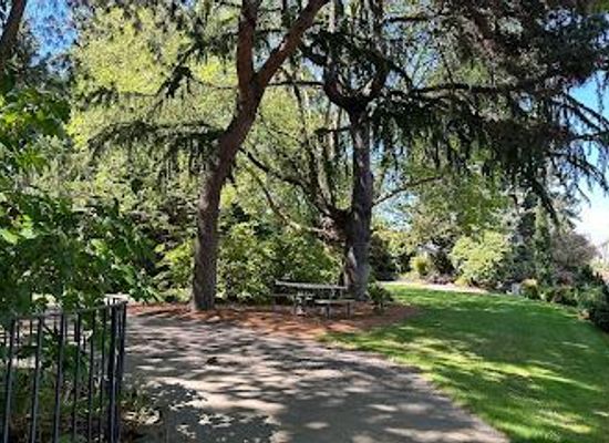 washington/bellevue/attraction/goddard-park