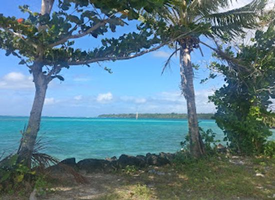 american-samoa/manu-a-islands/attraction/alofaaga-blowholes